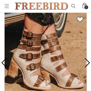 Freebird, 7, white snake